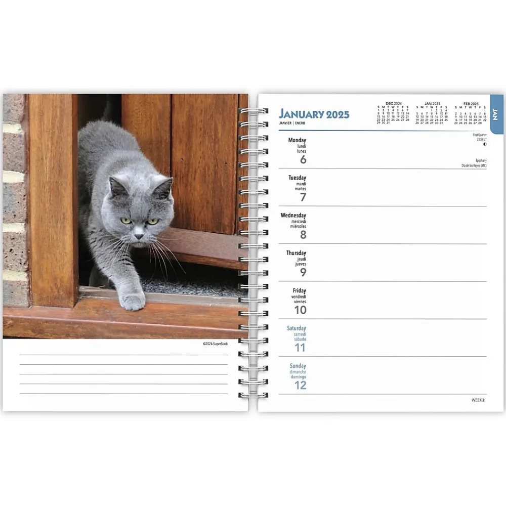 2025 Planners|BrownTrout 2025 Cat Lovers 6" x 7.75" Weekly Engagement Planner, Paper Cover, Multicolored (9781975473204)