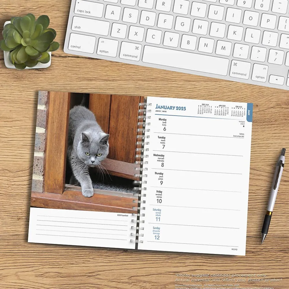 2025 Planners|BrownTrout 2025 Cat Lovers 6" x 7.75" Weekly Engagement Planner, Paper Cover, Multicolored (9781975473204)
