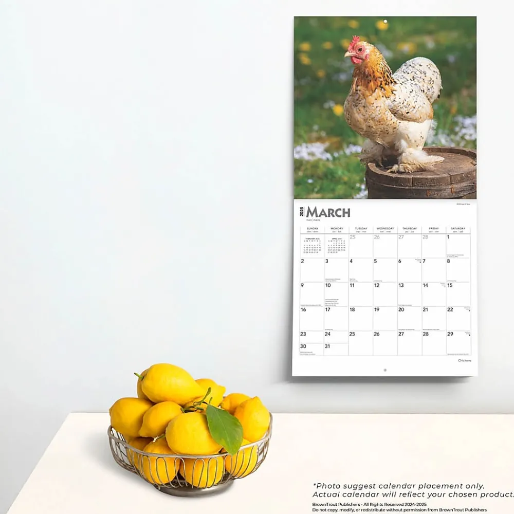 2025 Calendars|BrownTrout 2025 Chickens 12" x 24" Monthly Square Wall Calendar, (9781975476830)