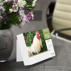 2025 Calendars|BrownTrout 2025 Chickens 6