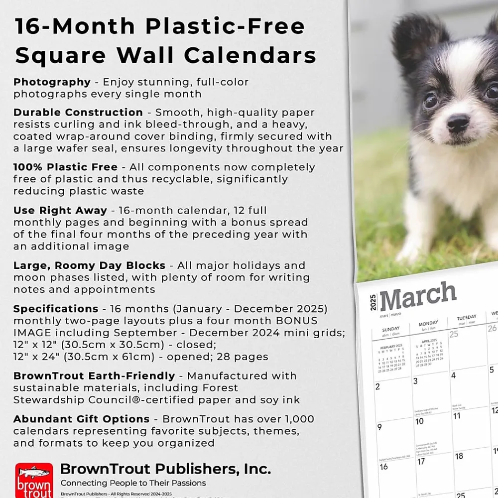 2025 Calendars|BrownTrout 2025 Chihuahua Puppies 12" x 12" Monthly Wall Calendar (9781975474652)