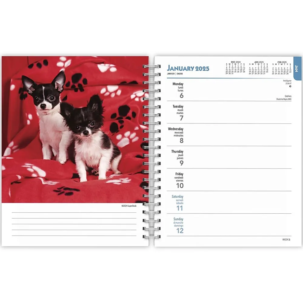 2025 Planners|BrownTrout 2025 Chihuahuas 6" x 7.75" Weekly Engagement Planner, Paper Cover, Multicolored (9781975480622)