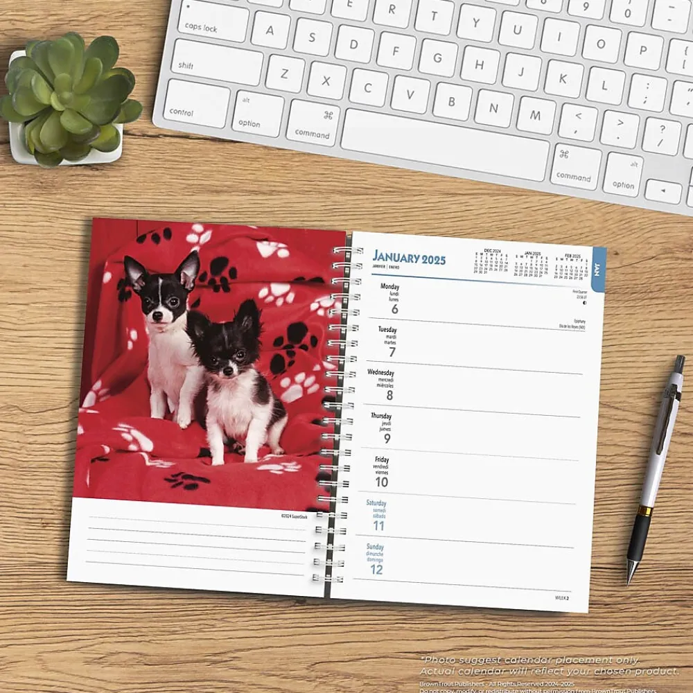 2025 Planners|BrownTrout 2025 Chihuahuas 6" x 7.75" Weekly Engagement Planner, Paper Cover, Multicolored (9781975480622)