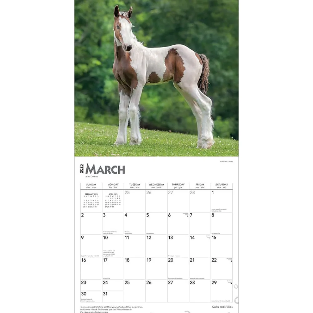 2025 Calendars|BrownTrout 2025 Colts and Fillies 12" x 12" Monthly Wall Calendar (9781975483722)