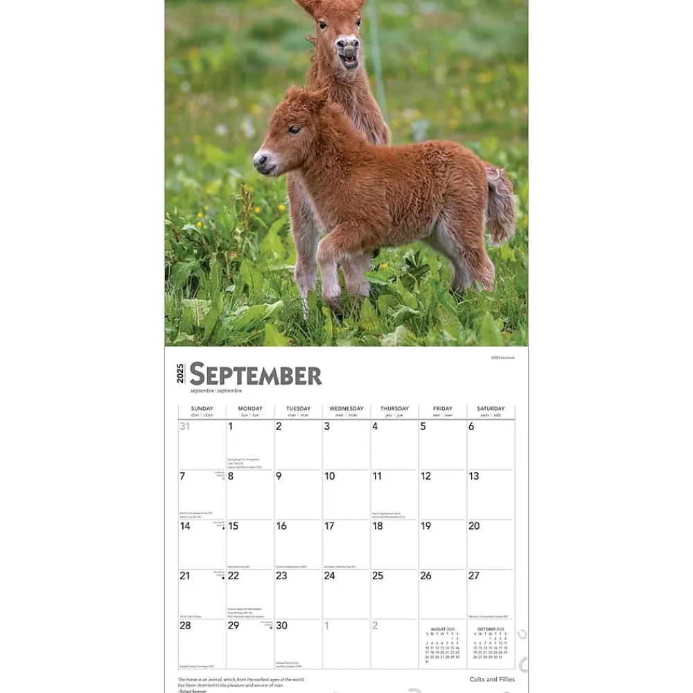 2025 Calendars|BrownTrout 2025 Colts and Fillies 12" x 12" Monthly Wall Calendar (9781975483722)