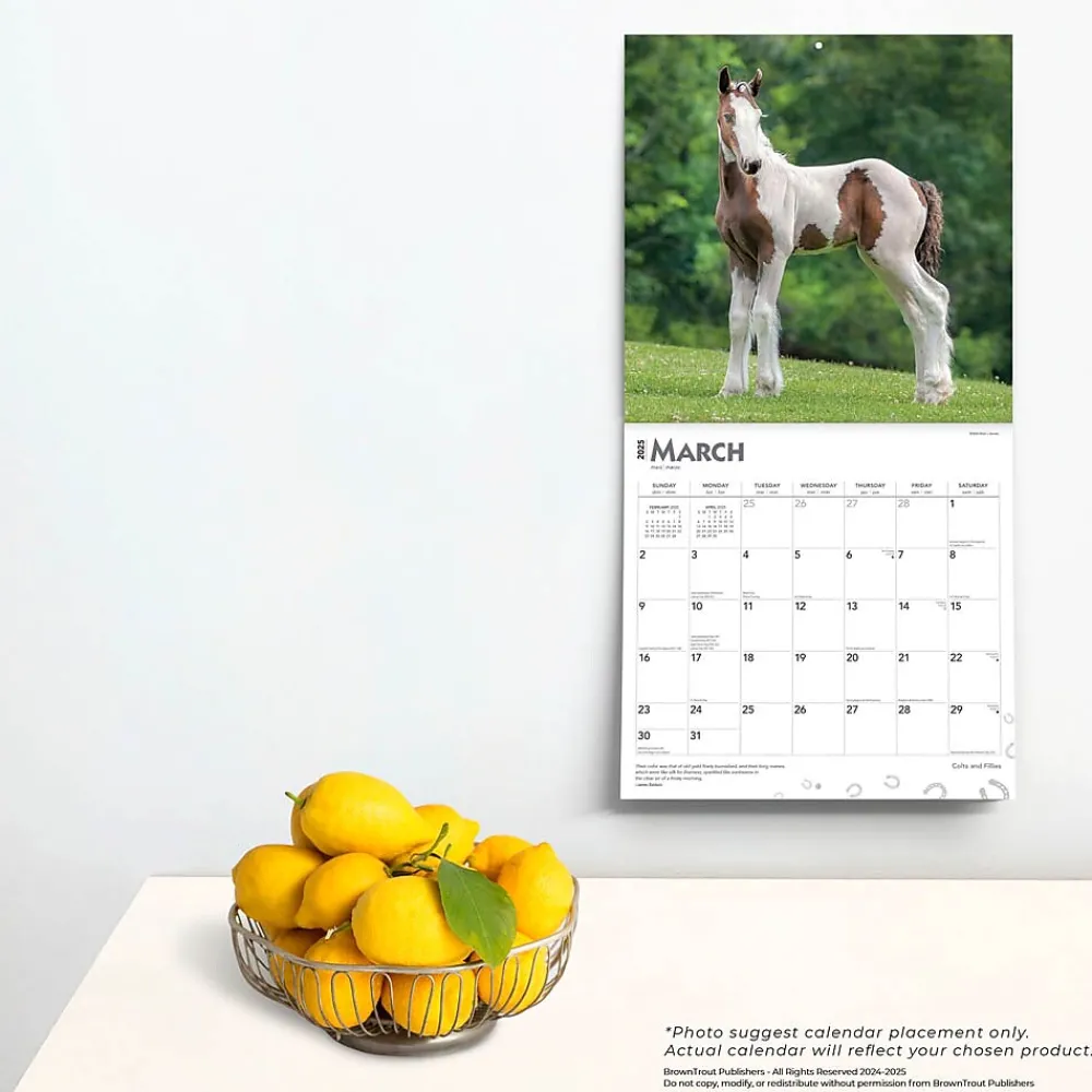 2025 Calendars|BrownTrout 2025 Colts and Fillies 12" x 12" Monthly Wall Calendar (9781975483722)