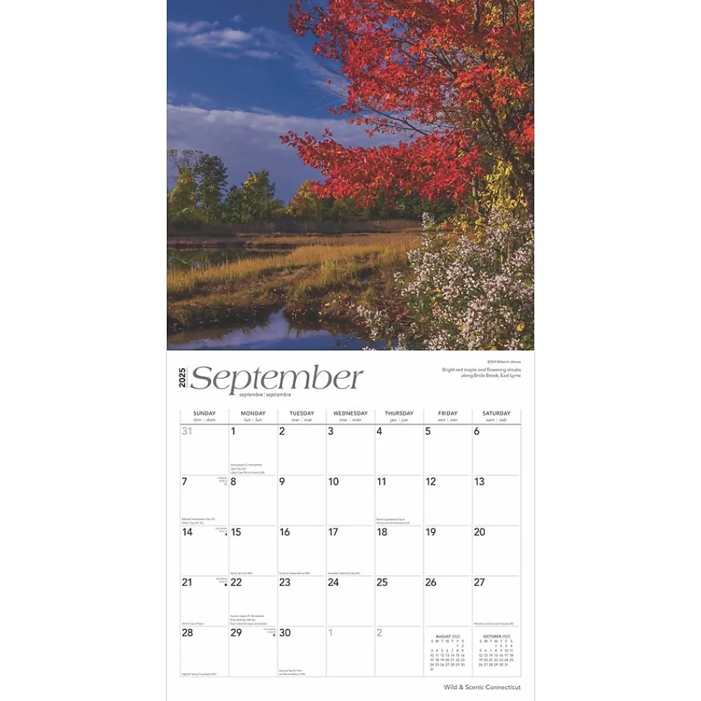 2025 Calendars|BrownTrout 2025 Connecticut Wild & Scenic 12" x 24" Monthly Square Wall Calendar (9781975474720)