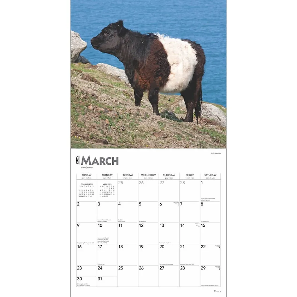 2025 Calendars|BrownTrout 2025 Cows 12" x 12" Monthly Wall Calendar (9781975476892)