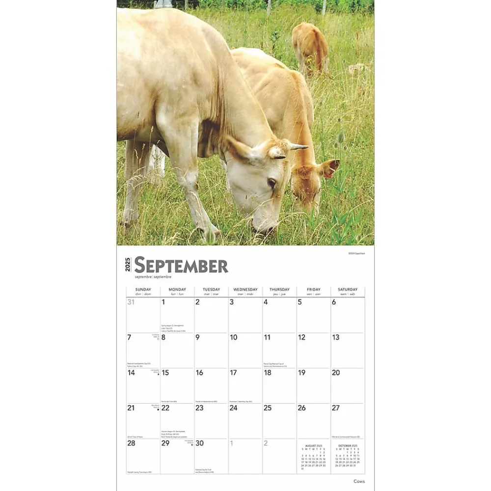 2025 Calendars|BrownTrout 2025 Cows 12" x 12" Monthly Wall Calendar (9781975476892)