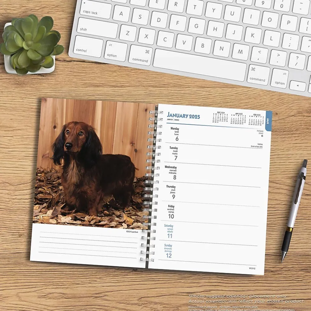 2025 Planners|BrownTrout 2025 Dachshunds 6" x 7.75" Weekly Engagement Planner, Paper Cover, Multicolored (9781975473174)