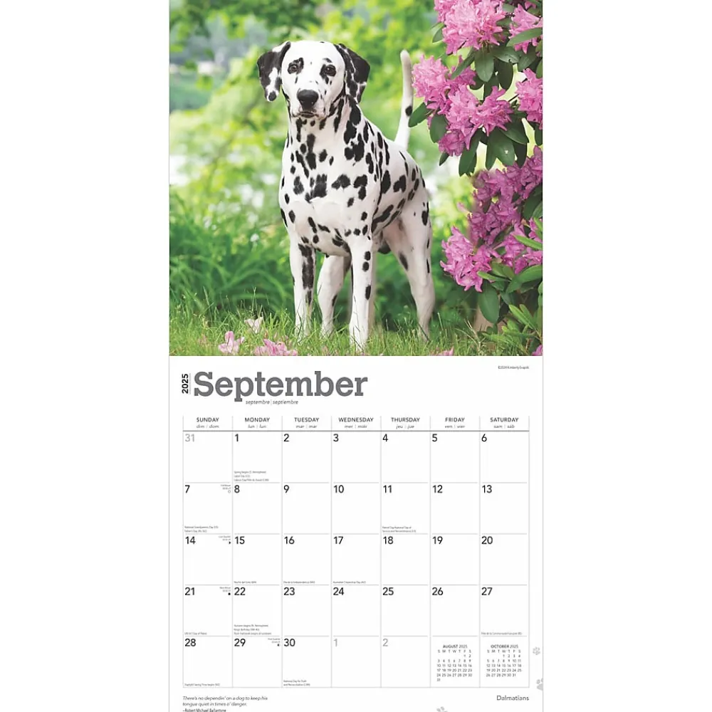 2025 Calendars|BrownTrout 2025 Dalmatians 12" x 24" Monthly Square Wall Calendar, (9781975478117)