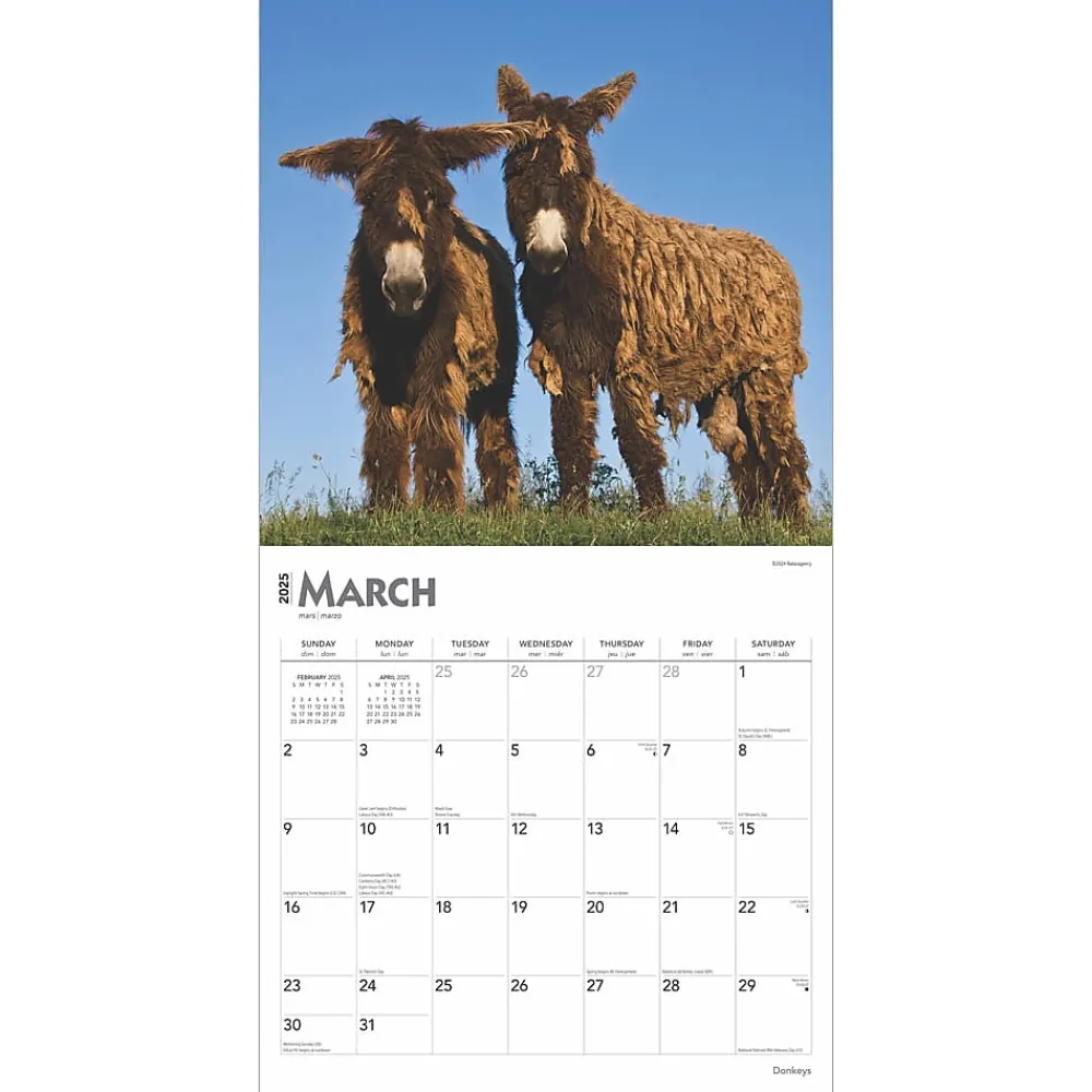 2025 Calendars|BrownTrout 2025 Donkeys 12" x 24" Monthly Square Wall Calendar, (9781975476946)