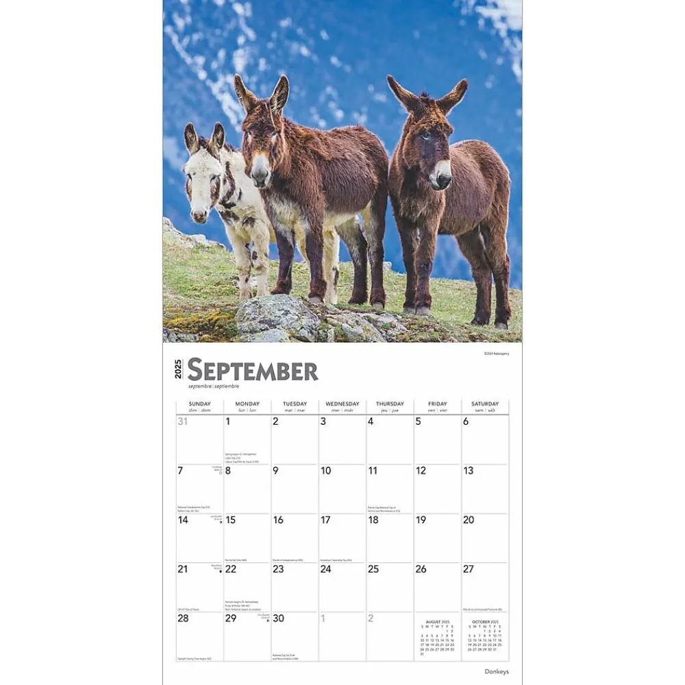 2025 Calendars|BrownTrout 2025 Donkeys 12" x 24" Monthly Square Wall Calendar, (9781975476946)