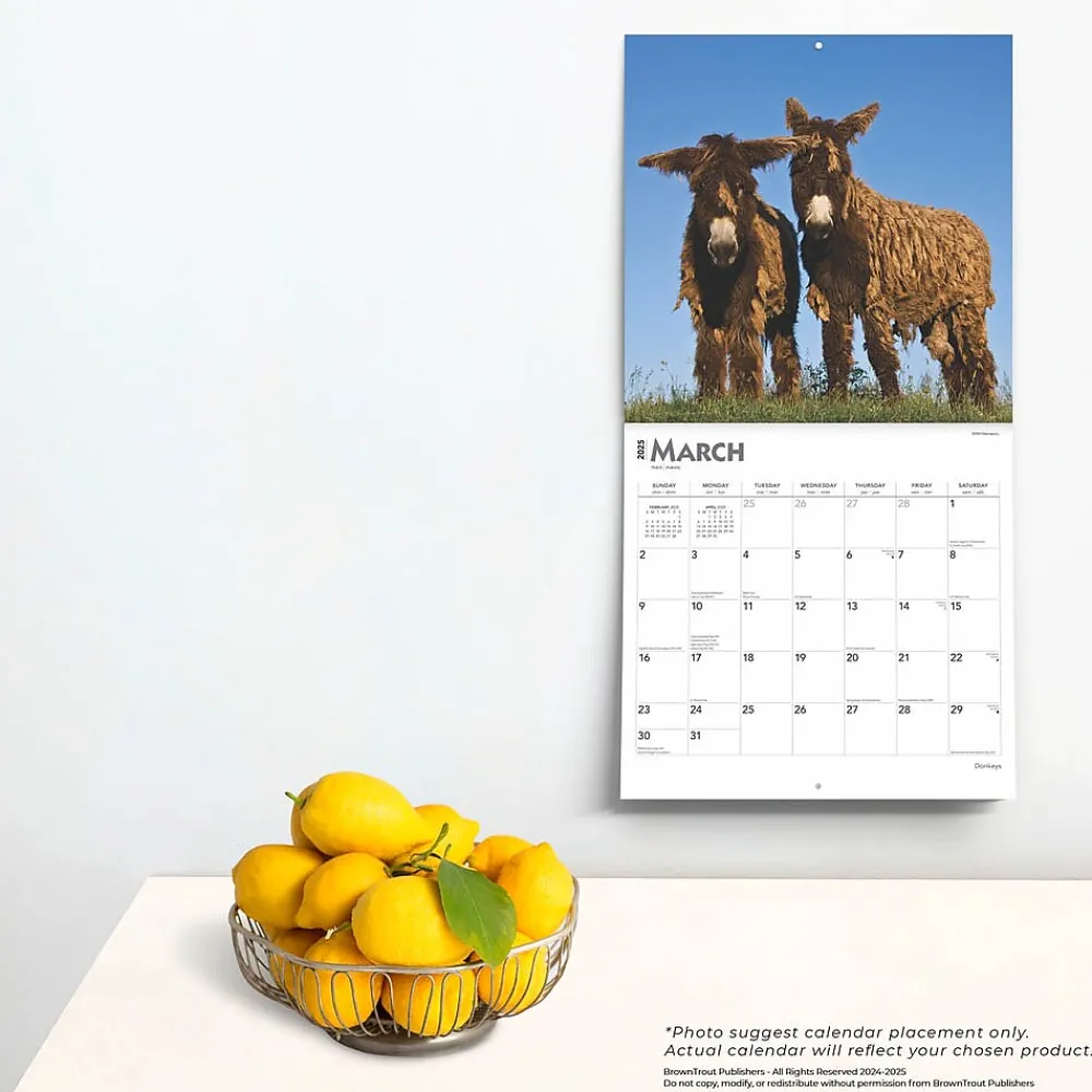 2025 Calendars|BrownTrout 2025 Donkeys 12" x 24" Monthly Square Wall Calendar, (9781975476946)