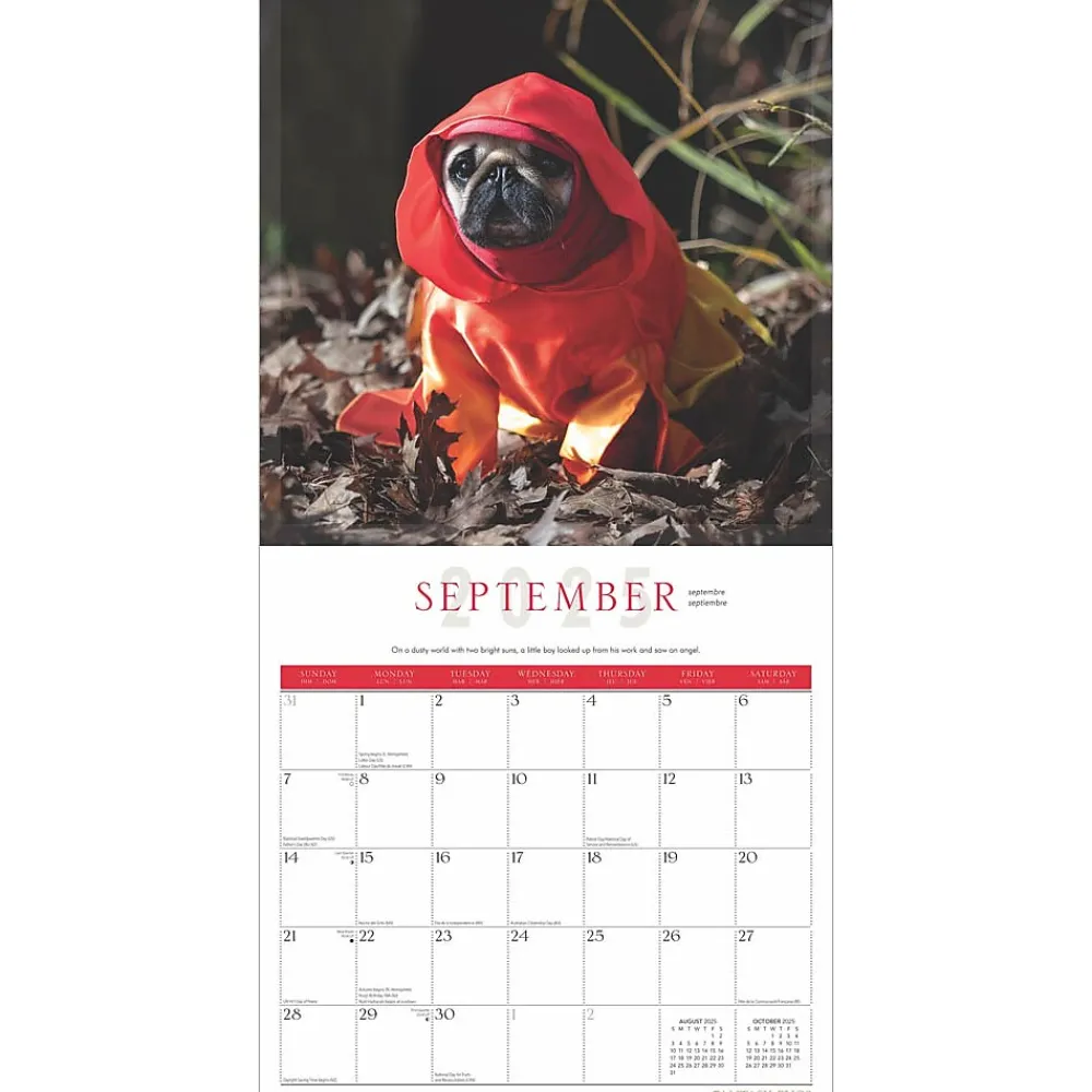 2025 Calendars|BrownTrout 2025 Fantasy Pugs 12" x 12" Monthly Square Wall Calendar (9781975479824)