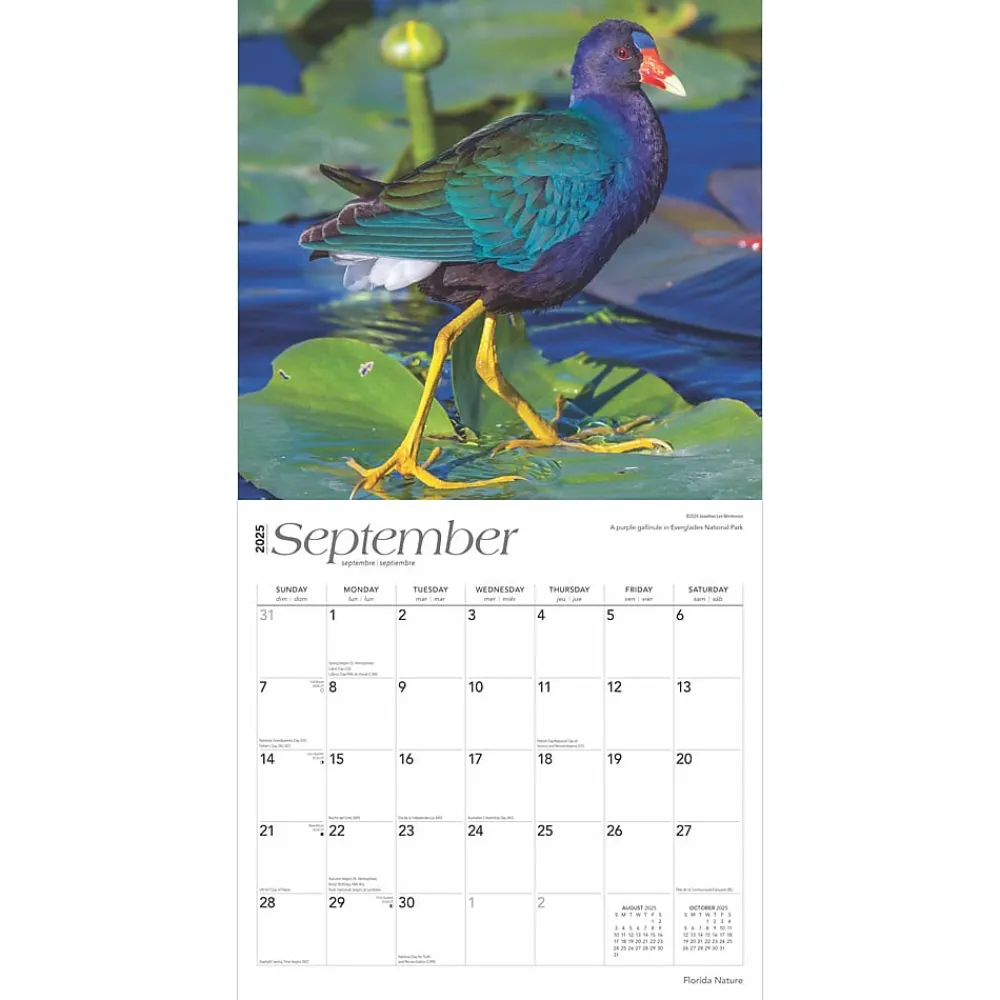 2025 Calendars|BrownTrout 2025 Florida Nature 12" x 24" Monthly Square Wall Calendar, (9781975474805)
