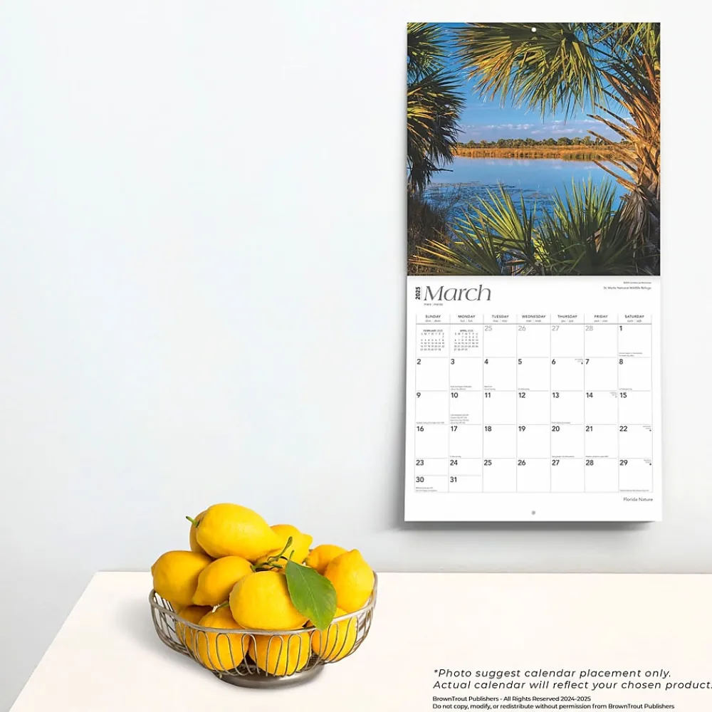 2025 Calendars|BrownTrout 2025 Florida Nature 12" x 24" Monthly Square Wall Calendar, (9781975474805)