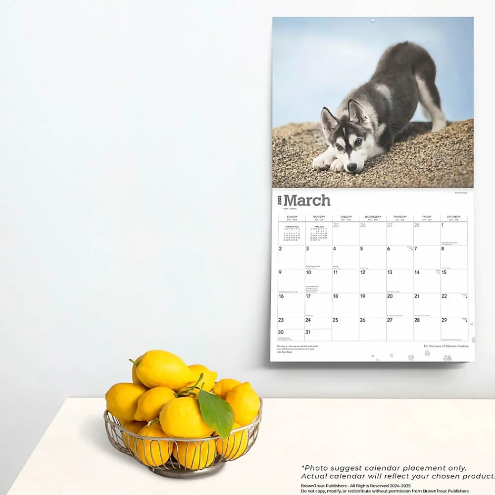 2025 Calendars|BrownTrout 2025 For the Love of Siberian Huskies 7" x 12" Monthly Wall Calendar (9781975473082)