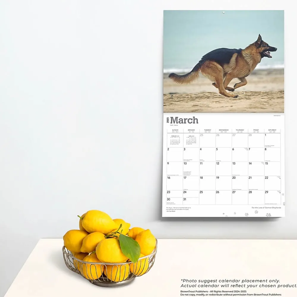 2025 Calendars|BrownTrout 2025 For the Love of German Shepherds 7" x 12" Monthly Wall Calendar (9781975473037)