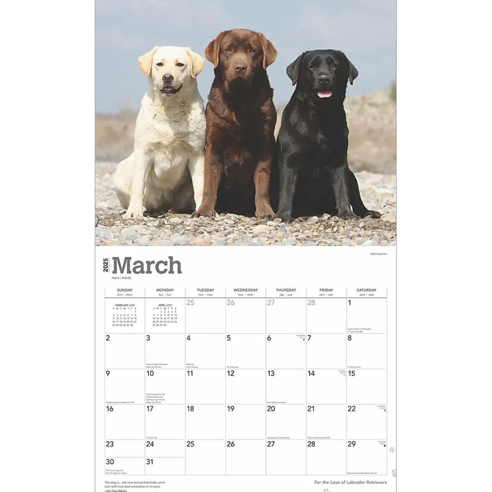 2025 Calendars|BrownTrout 2025 For the Love of Labrador Retrievers 14" x 24" Monthly Deluxe Wall Calendar, (9781975473068)