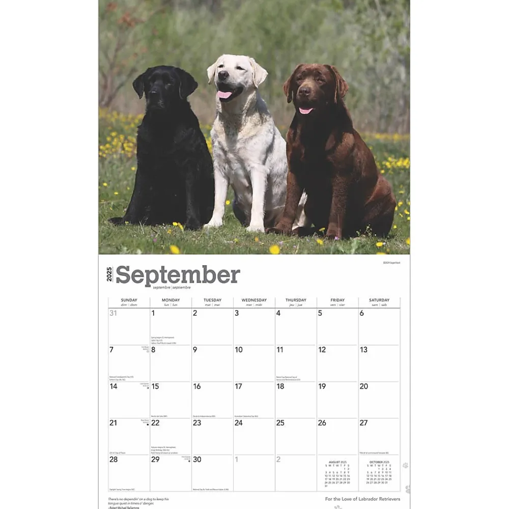 2025 Calendars|BrownTrout 2025 For the Love of Labrador Retrievers 14" x 24" Monthly Deluxe Wall Calendar, (9781975473068)