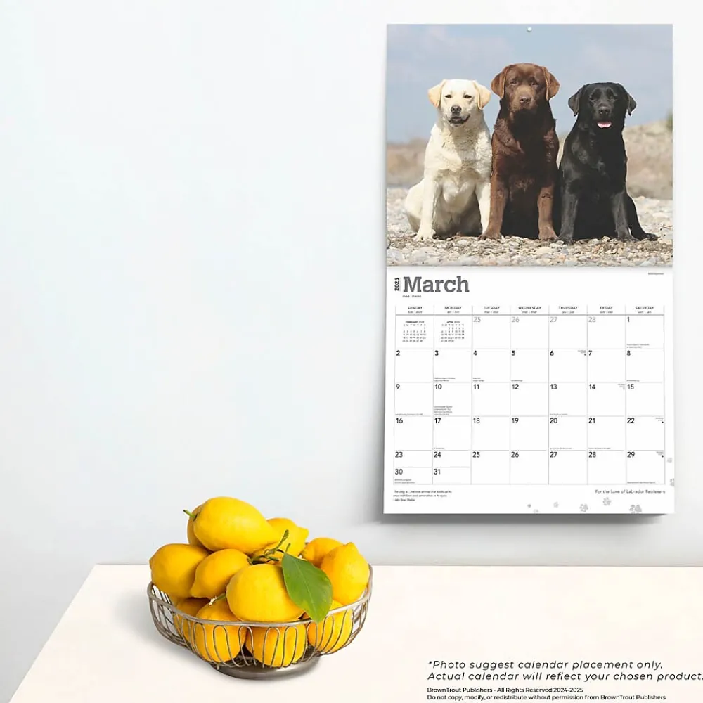 2025 Calendars|BrownTrout 2025 For the Love of Labrador Retrievers 14" x 24" Monthly Deluxe Wall Calendar, (9781975473068)