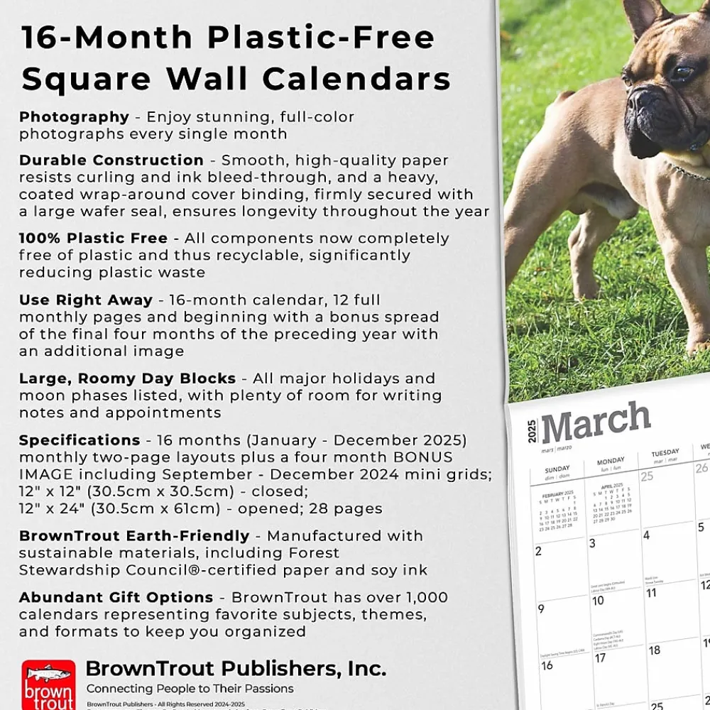2025 Calendars|BrownTrout 2025 French Bulldogs 12" x 12" Monthly Square Wall Calendar (9781975476984)