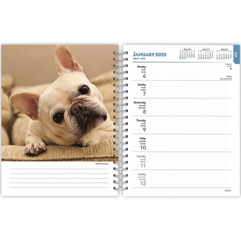 2025 Planners|BrownTrout 2025 French Bulldogs 6" x 7.75" Weekly Engagement Planner, Paper Cover, Multicolored (9781975483159)