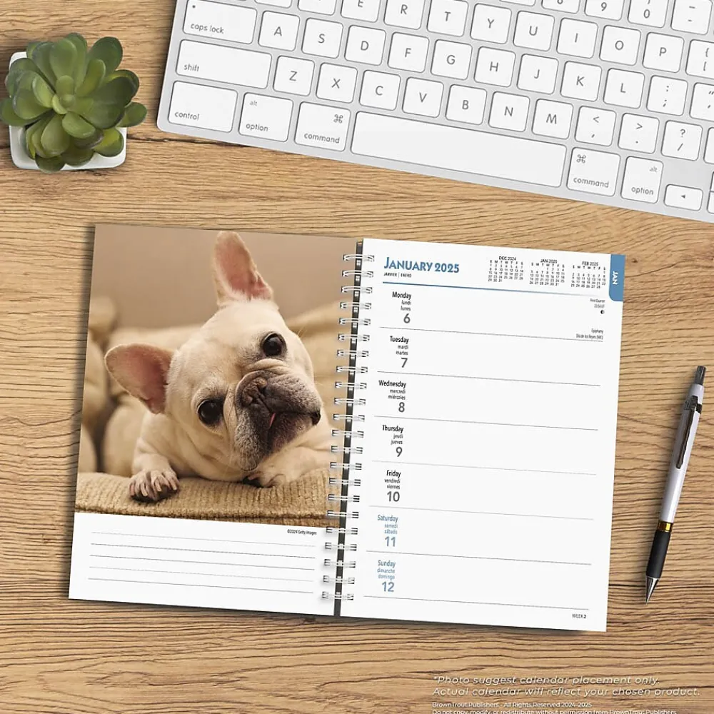 2025 Planners|BrownTrout 2025 French Bulldogs 6" x 7.75" Weekly Engagement Planner, Paper Cover, Multicolored (9781975483159)