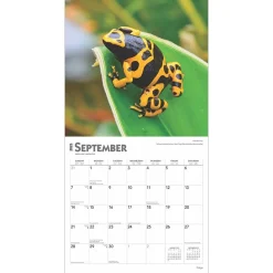 2025 Calendars|BrownTrout 2025 Frogs 12