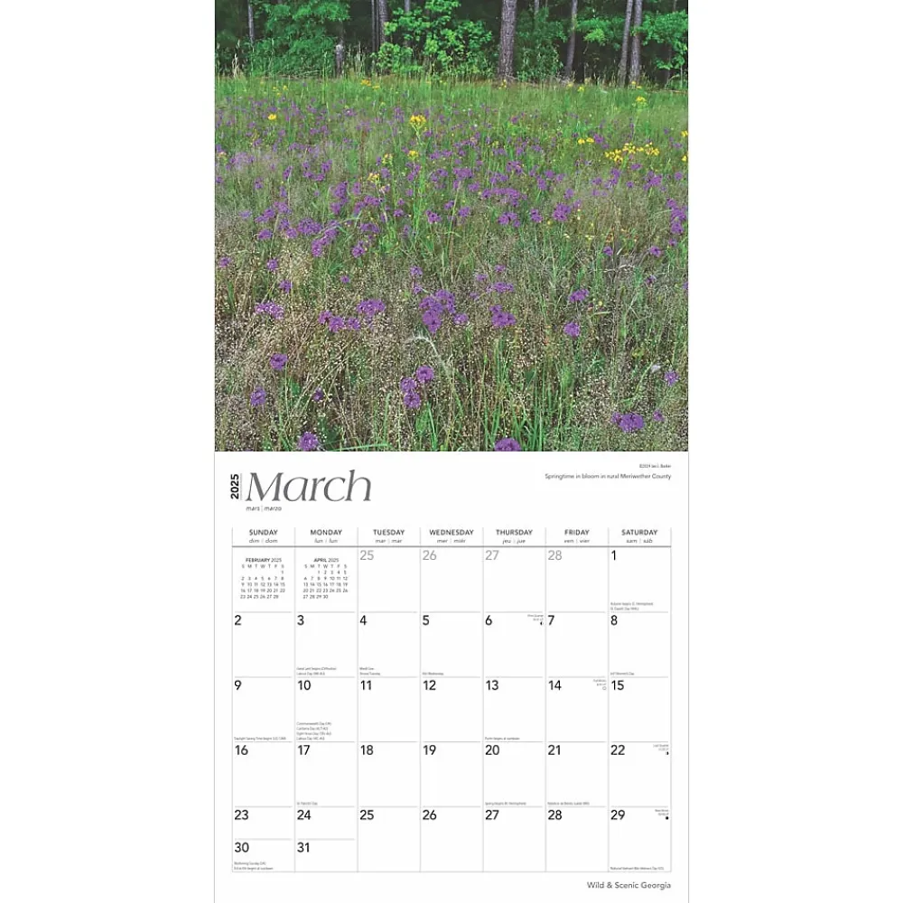 2025 Calendars|BrownTrout 2025 Georgia Wild & Scenic 12" x 12" Monthly Square Wall Calendar (9781975474836)
