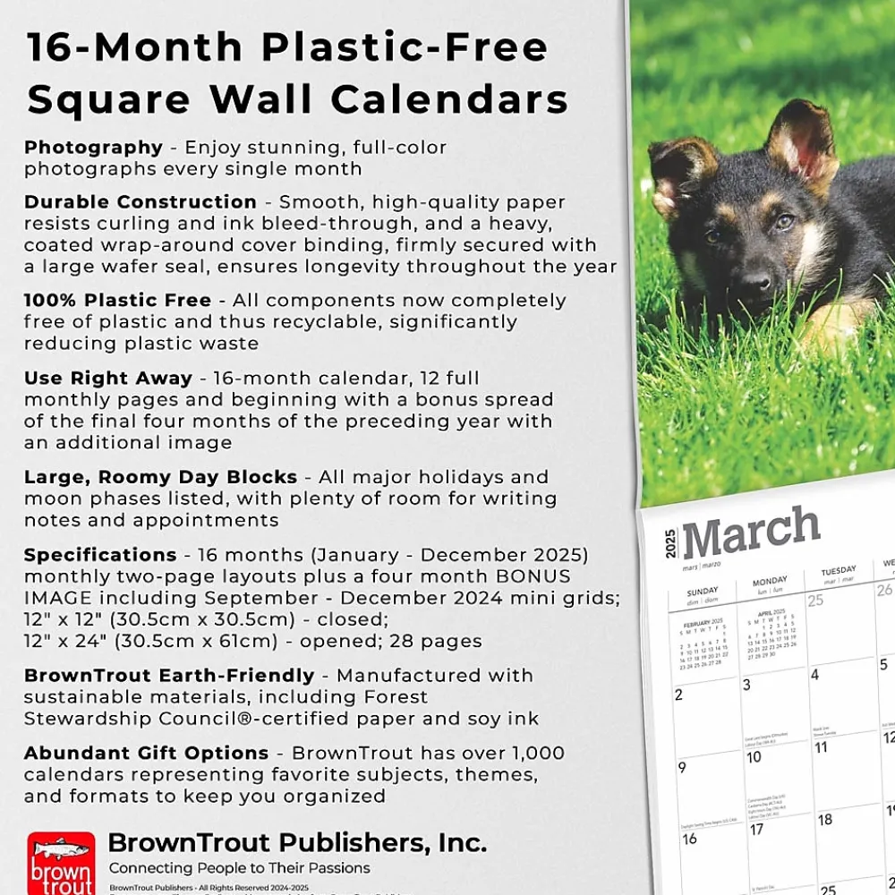 2025 Calendars|BrownTrout 2025 German Shepherd Puppies 12" x 12" Monthly Square Wall Calendar (9781975477004)
