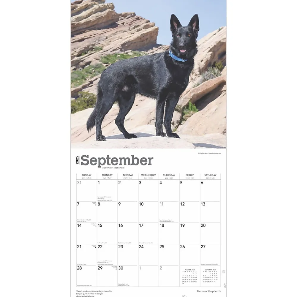 2025 Calendars|BrownTrout 2025 German Shepherds 12" x 12" Monthly Square Wall Calendar (9781975477011)