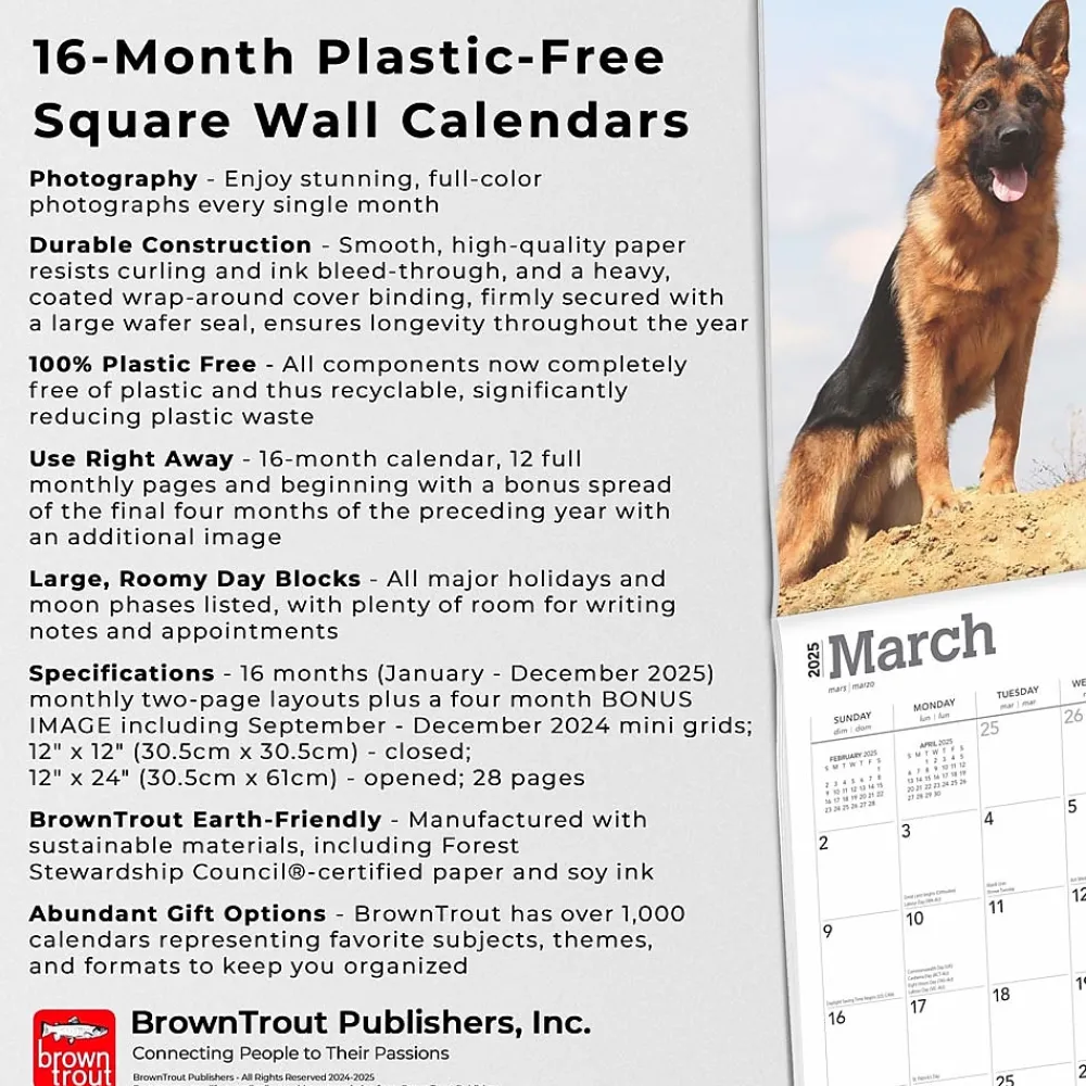 2025 Calendars|BrownTrout 2025 German Shepherds 12" x 12" Monthly Square Wall Calendar (9781975477011)
