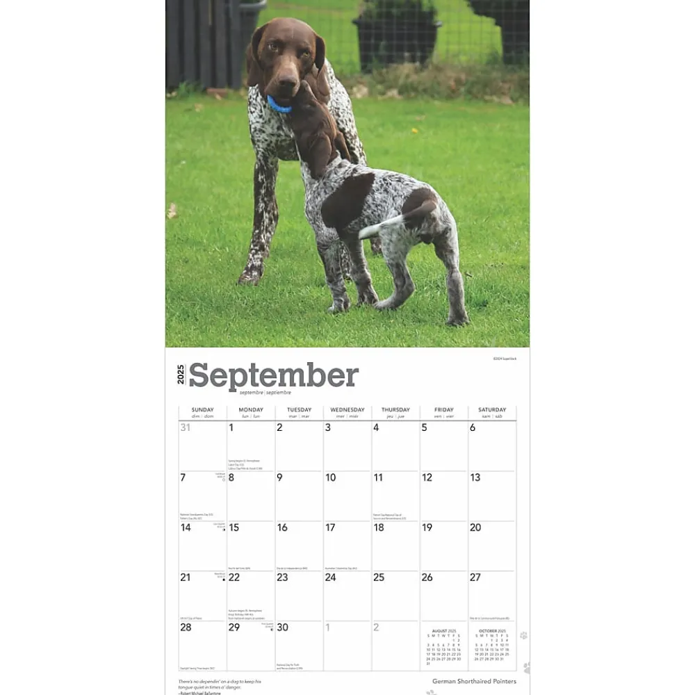 2025 Calendars|BrownTrout 2025 German Shorthaired Pointers 12" x 12" Monthly Square Wall Calendar (9781975477028)