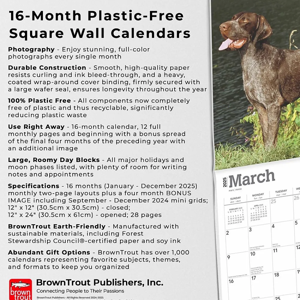 2025 Calendars|BrownTrout 2025 German Shorthaired Pointers 12" x 12" Monthly Square Wall Calendar (9781975477028)