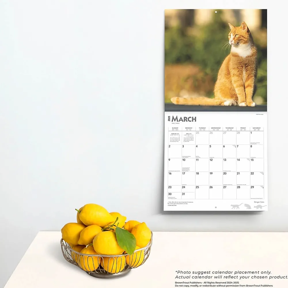 2025 Calendars|BrownTrout 2025 Ginger Cats 12" x 12" Monthly Wall Calendar (9781975477035)