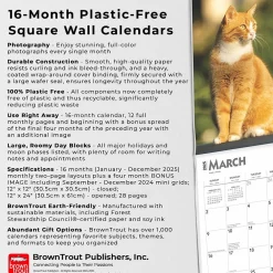 2025 Calendars|BrownTrout 2025 Ginger Cats 12