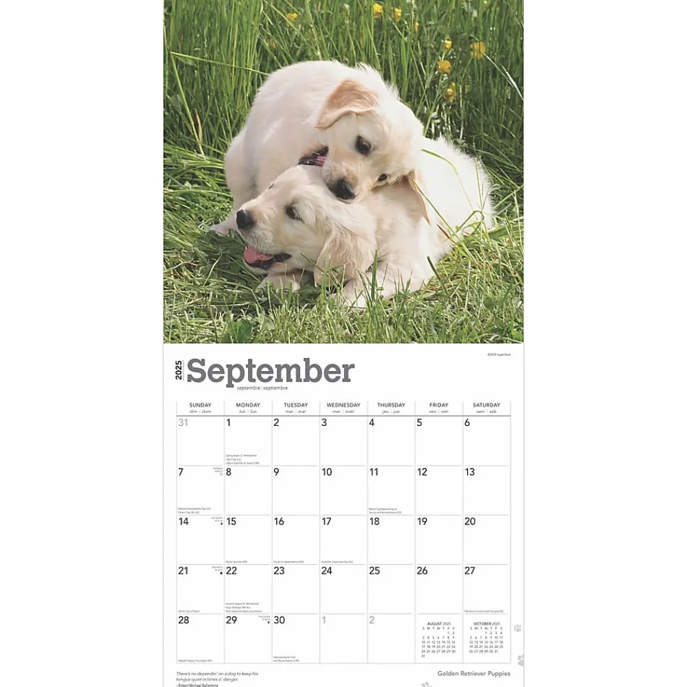 2025 Calendars|BrownTrout 2025 Golden Retriever Puppies 12" x 12" Monthly Square Wall Calendar (9781975477066)