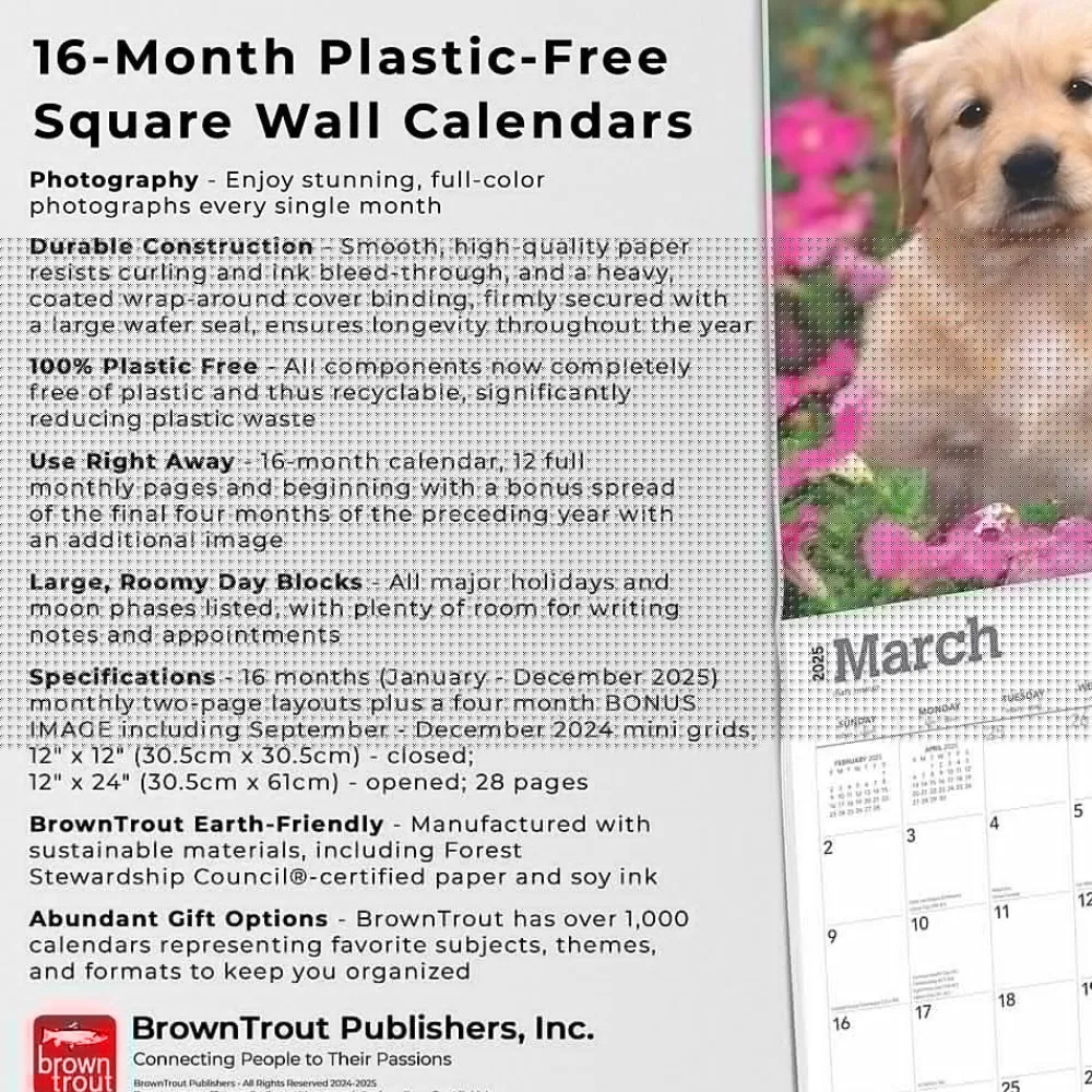 2025 Calendars|BrownTrout 2025 Golden Retriever Puppies 12" x 12" Monthly Square Wall Calendar (9781975477066)
