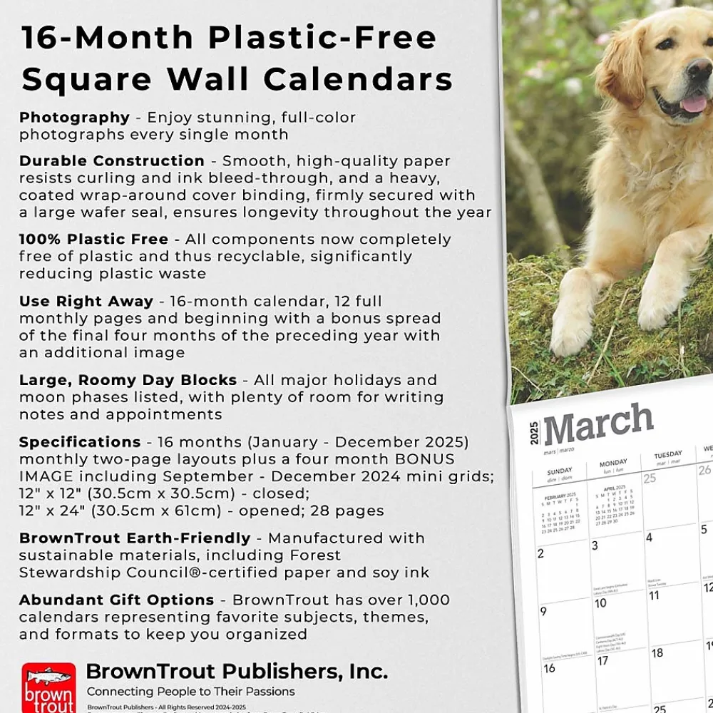 2025 Calendars|BrownTrout 2025 Golden Retrievers 12" x 12" Monthly Square Wall Calendar (9781975477073)