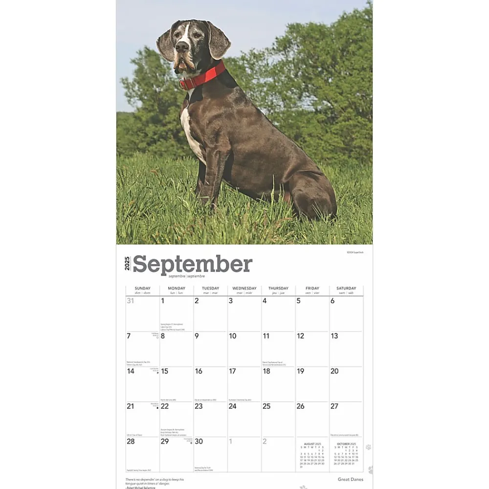 2025 Calendars|BrownTrout 2025 Great Danes 12" x 12" Monthly Square Wall Calendar (9781975477103)