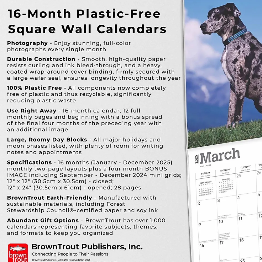 2025 Calendars|BrownTrout 2025 Great Danes 12" x 12" Monthly Square Wall Calendar (9781975477103)