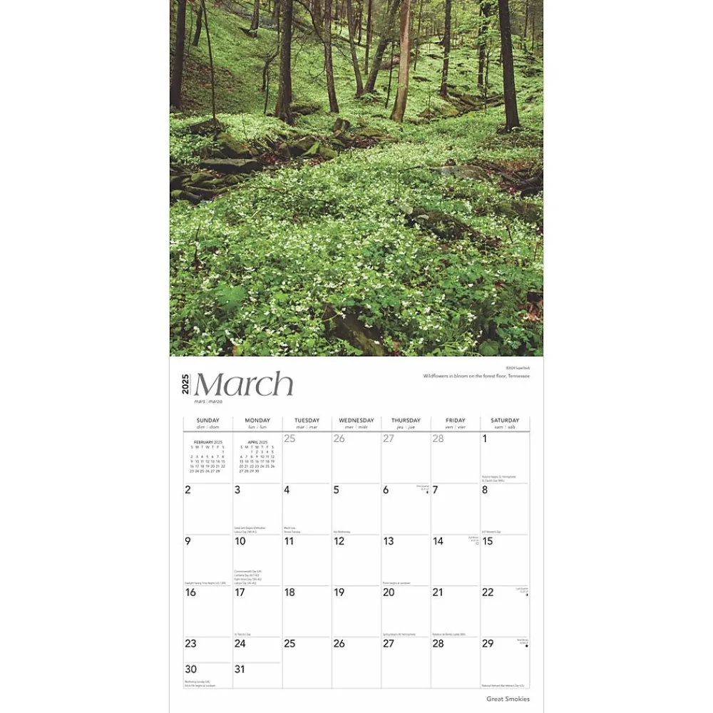 2025 Calendars|BrownTrout 2025 Great Smokies 12" x 12" Monthly Wall Calendar (9781975474881)