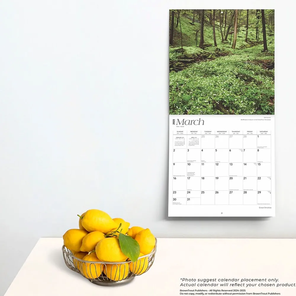 2025 Calendars|BrownTrout 2025 Great Smokies 12" x 12" Monthly Wall Calendar (9781975474881)