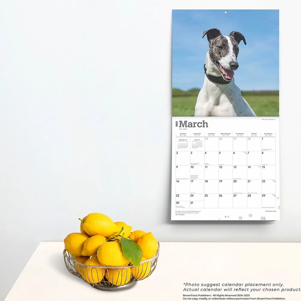 2025 Calendars|BrownTrout 2025 Greyhounds 12" x 12" Monthly Wall Calendar (9781975477127)