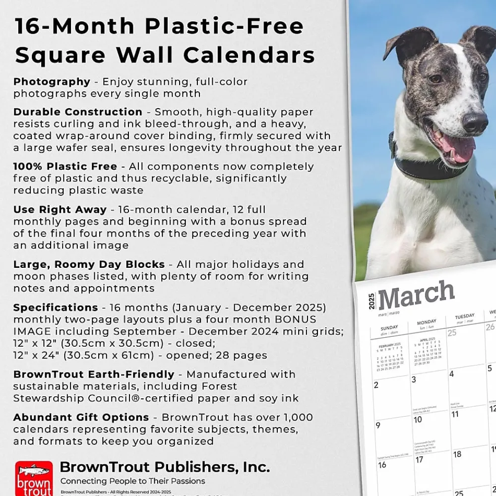 2025 Calendars|BrownTrout 2025 Greyhounds 12" x 12" Monthly Wall Calendar (9781975477127)
