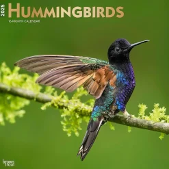 2025 Calendars|BrownTrout 2025 Hummingbirds 12" x 12" Monthly Wall Calendar (9781975477189)