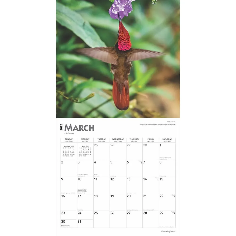 2025 Calendars|BrownTrout 2025 Hummingbirds 12" x 12" Monthly Wall Calendar (9781975477189)