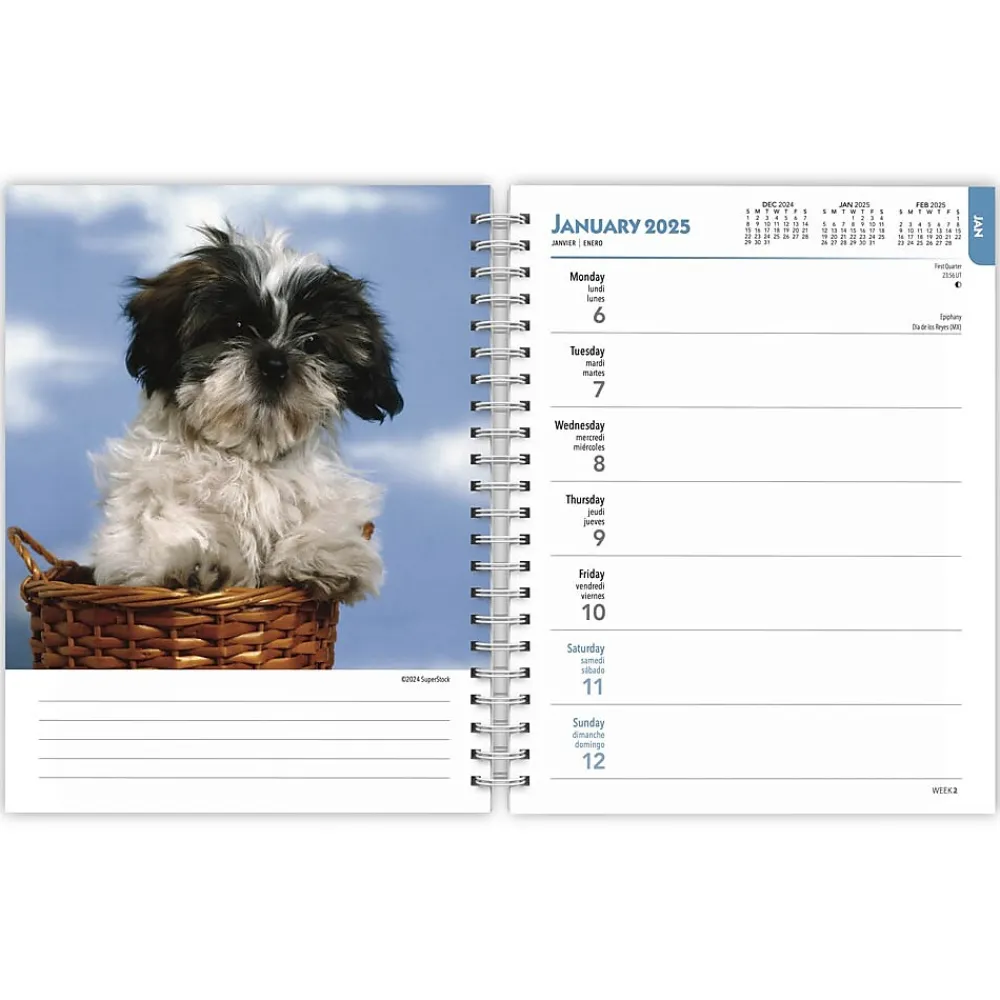 2025 Planners|BrownTrout 2025 I Love Puppies 6" x 7.75" Weekly Engagement Planner, Paper Cover, Multicolored (9781975480639)